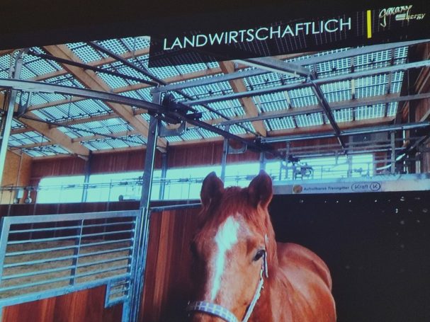 Tierhalle mit Pferd, Dach aus Photovoltaik